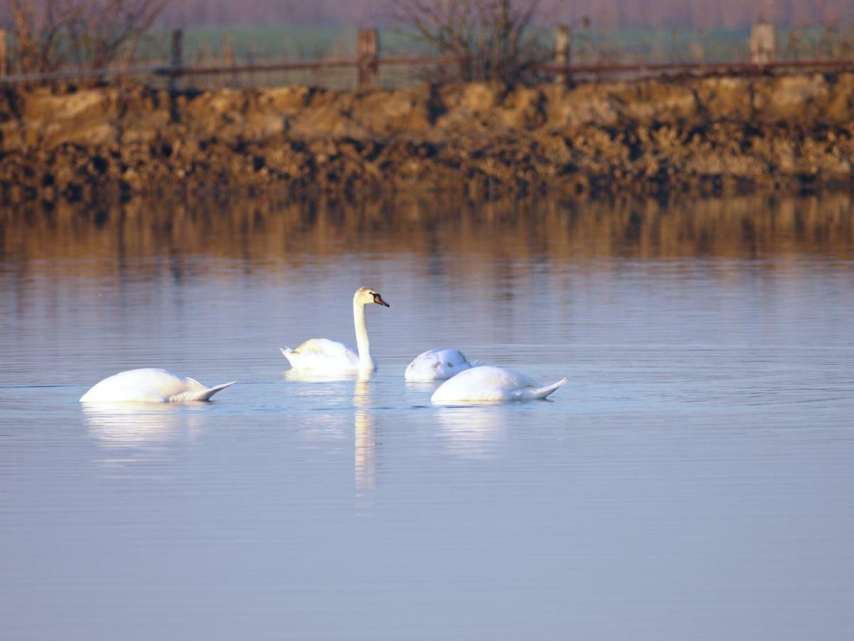 Villetta Parco Sir Llido Degli Estensi Luaran gambar